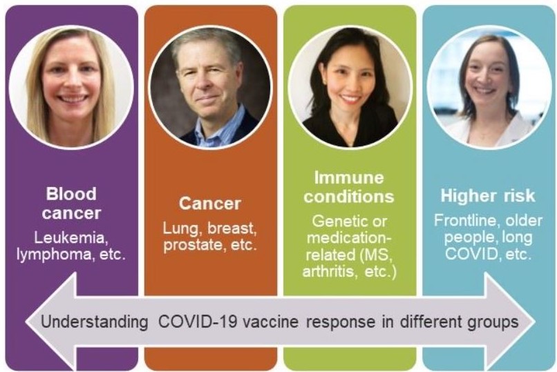 Graphic summarizing new studies that will help us understand how different groups respond to COVID-19 vaccines